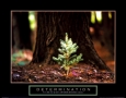 Building Determination