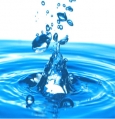 Laws of Purification